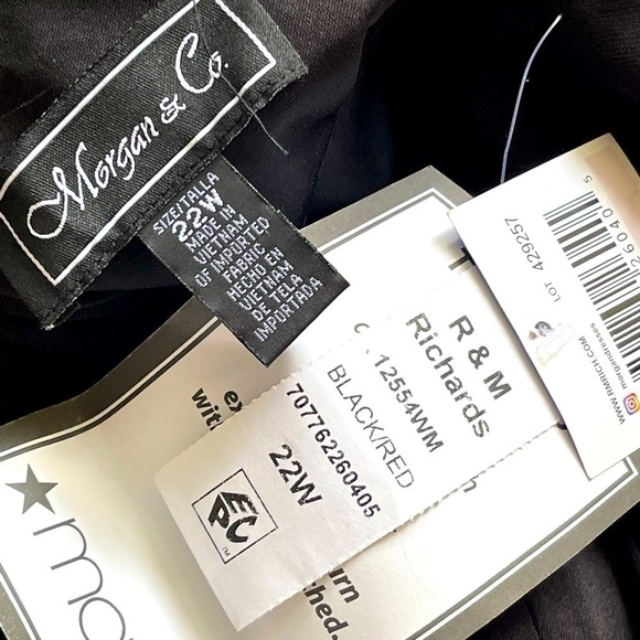 R&M Richards Women Plus Size Formal Evening Cocktail Party Prom Dress, Sz 22W - Picture 4 of 10